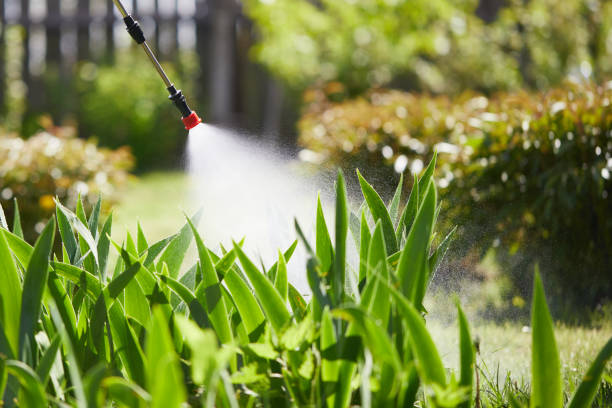 24/7 Emergency Mosquito Control experts in Barker Heights, NC